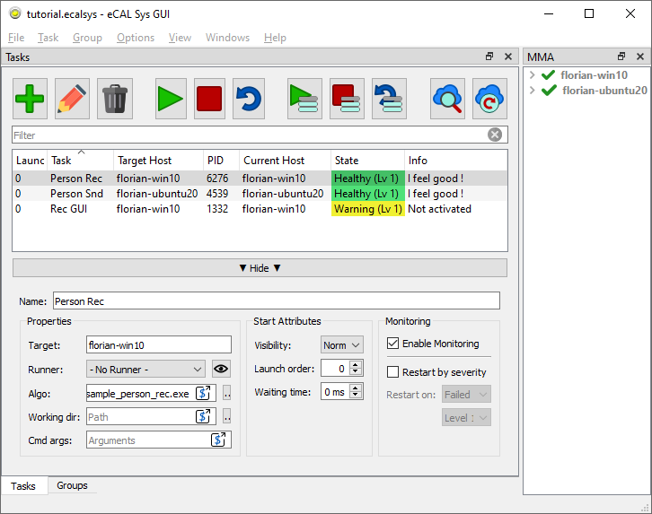 eCAL Sys with started tasks