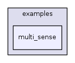 multi_sense