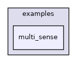 multi_sense