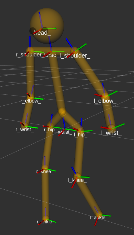 Human model, rendered in rviz