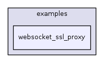 websocket_ssl_proxy