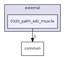0320_palm_edc_muscle