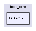 bCAPClient