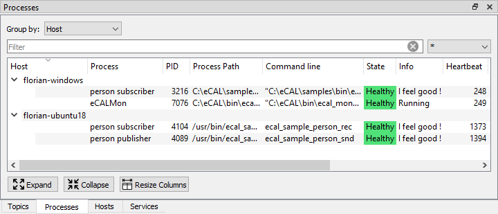 eCAL Monitor processes view