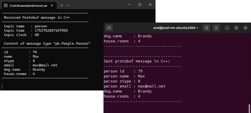 person_send and person_receive sample over network